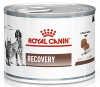 Royal Canin "Recovery Feline/Canine", в период анорексии и выздоровления, диетический