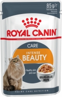 Royal Canin "Intense Beauty" для кошек, поддержание красоты шерсти, мелкие кусочки в желе