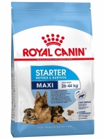 Royal Canin "Maxi Starter Mother & Babydog" для щенков крупных пород